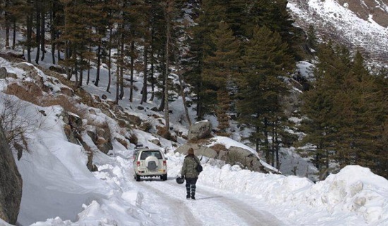gangotri nandanvan trek