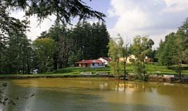 Gwaldam Nature