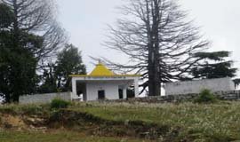Gwaldam Nature