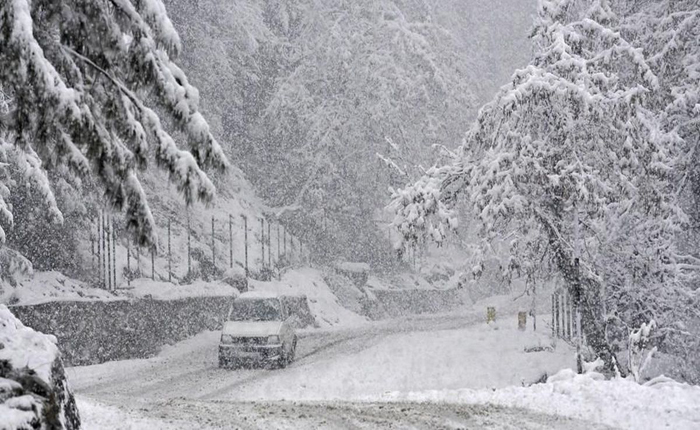 Uttarakhand News