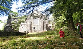 Mcleod Ganj Nature