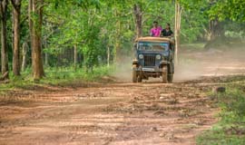 Jungle Safari in Lansdowne