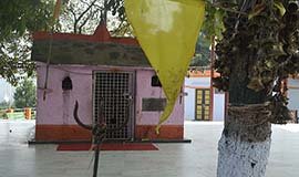 Pauri Nature