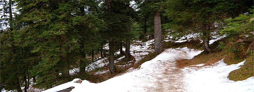 Dalhousie Tourism
