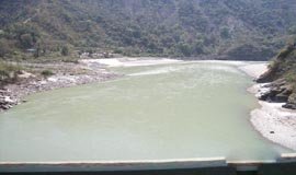Gwaldam Nature