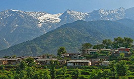 Mcleod Ganj Nature