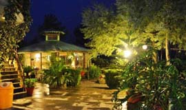 Mohan's Binsar Retreat