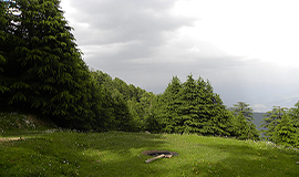 Dalhousie Tourism