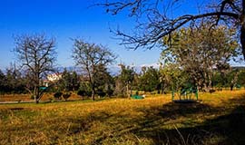 Pauri Adventure Activities