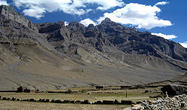 Manali Nature