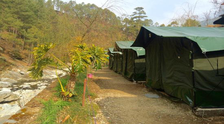 Nainital Camps