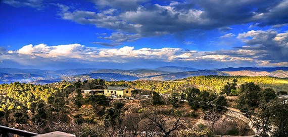 Binsar Holiday Packages