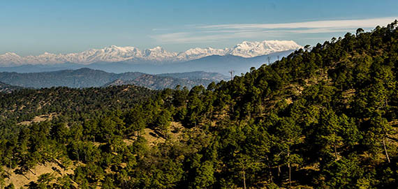Binsar Holiday Packages