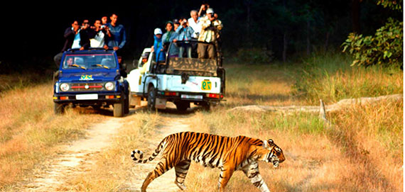 Nainital Holiday Packages