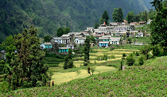 ranikhet Holiday Packages