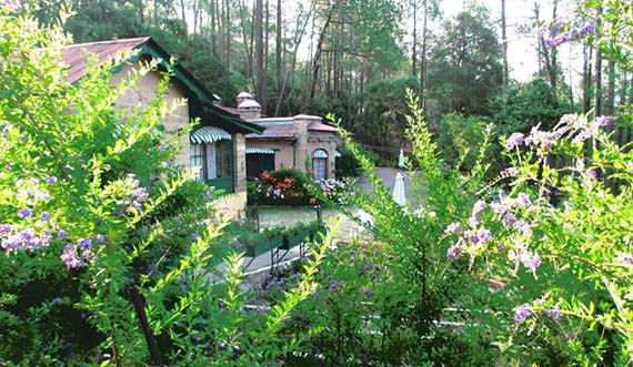 ranikhet Holiday Packages