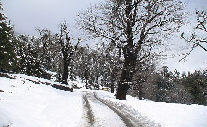 Uttarakhand News