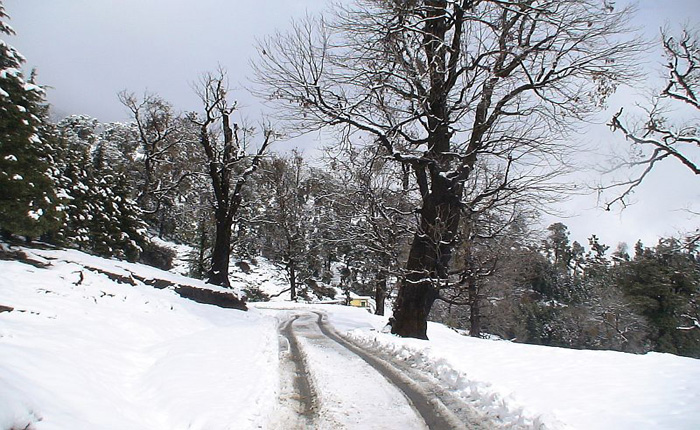 Uttarakhand News