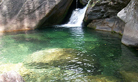 Sattal Nature