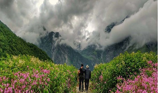 valley of flowers trek