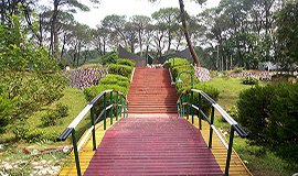 Mcleod Ganj Nature