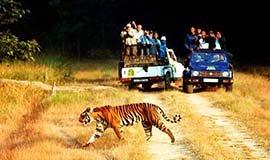 Naukuchiatal Adventure Activities