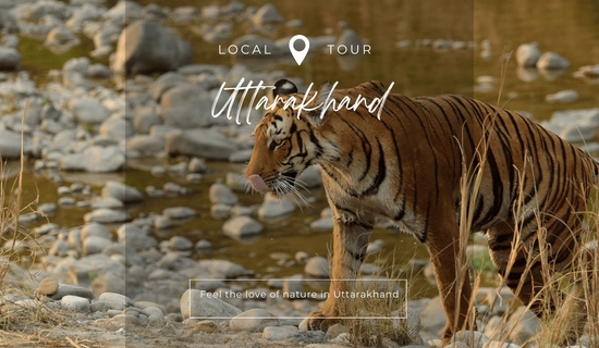 uttarakhand tour packages from dehradun