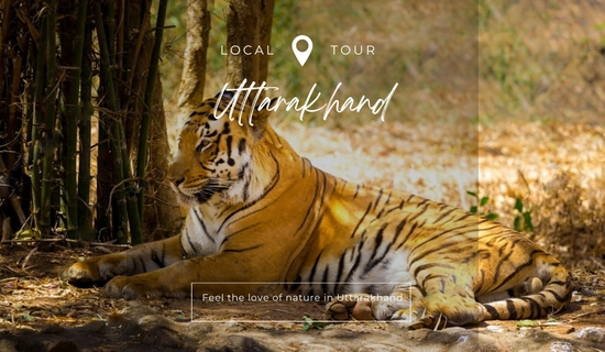 Delhi Nainital Corbett Package - 6 Days