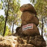 rishikesh local travel agents