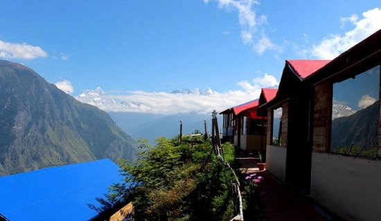 Auli New Year Tour Packages