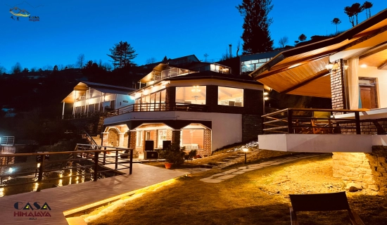 Auli New Year Tour Packages