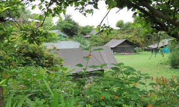 rishikesh adventure camps
