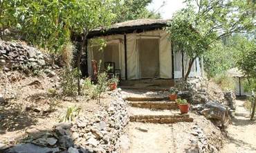 rishikesh adventure camps