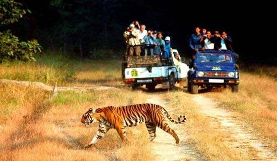 nainital tour packages