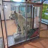 corbett travel agents,travel agency,tour operators