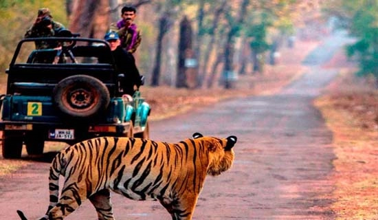 nainital tour packages