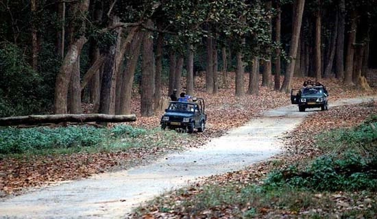 corbett tour packages
