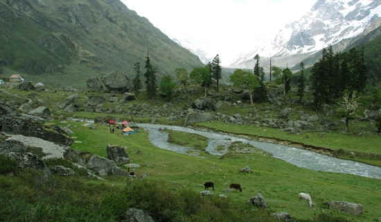 14 Days Haridwar Rishikesh Auli Chopta Lansdowne Tour