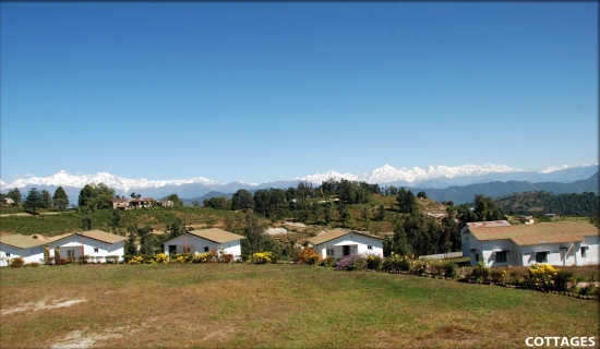 Chaukori New Year Tour Packages