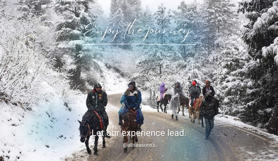 manali shimla honeymoon package