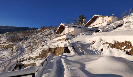 auli tour packages