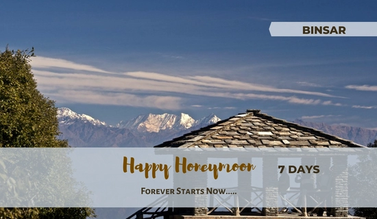 Uttarakhand Honeymoon Packages