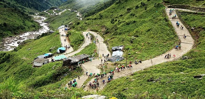 Uttarakhand News