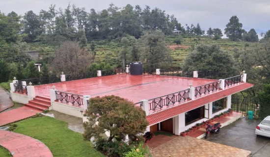 Chaukori New Year Tour Packages