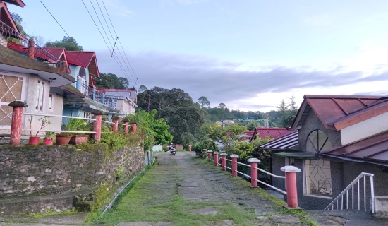 Ranikhet Christmas Tour Packages
