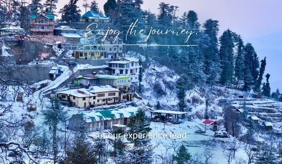 shimla chail tour package from delhi for 4 days 3 nights