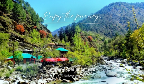 shimla honeymoon tour package