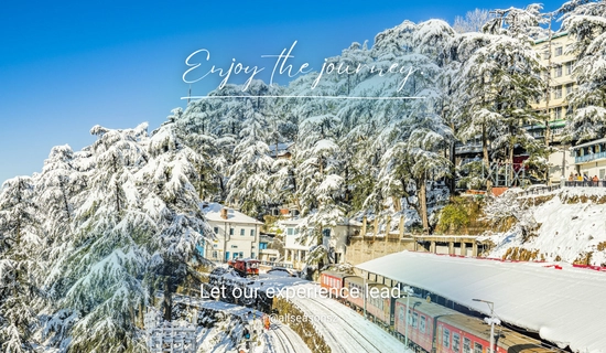shimla manali chandigarh tour package from delhi for 6 days 5 nights