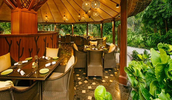 Corbett Holi Packages
