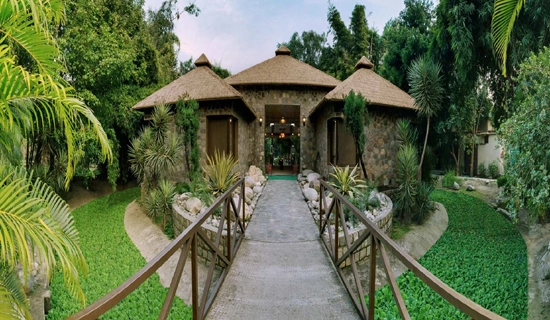 Corbett Holi Packages
